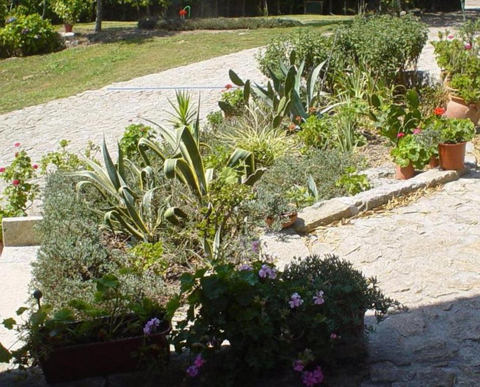 Vila Casa Boavista Paredes de Coura Exteriér fotografie